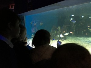 IMG_2310