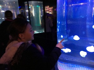 IMG_2313