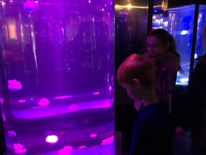 IMG_2315